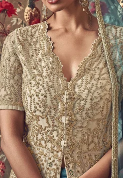 Embroidered Net Lehenga in Shaded Beige and Blue