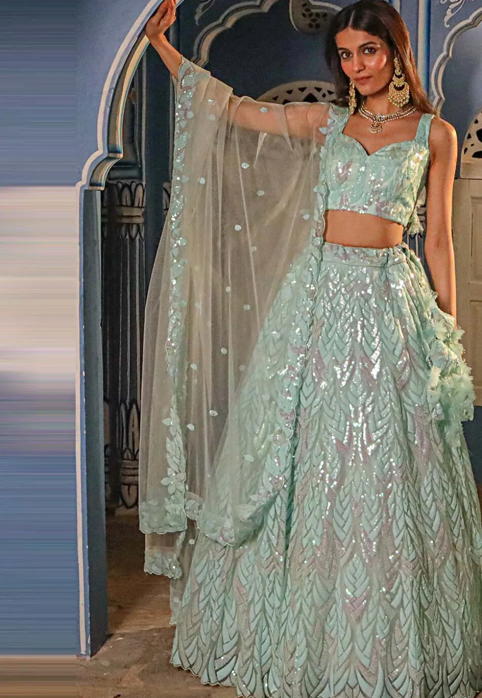 Embroidered Net Lehenga in Pastel Blue