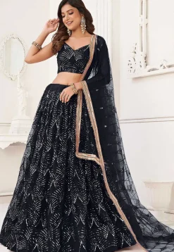 Embroidered Net Lehenga in Black