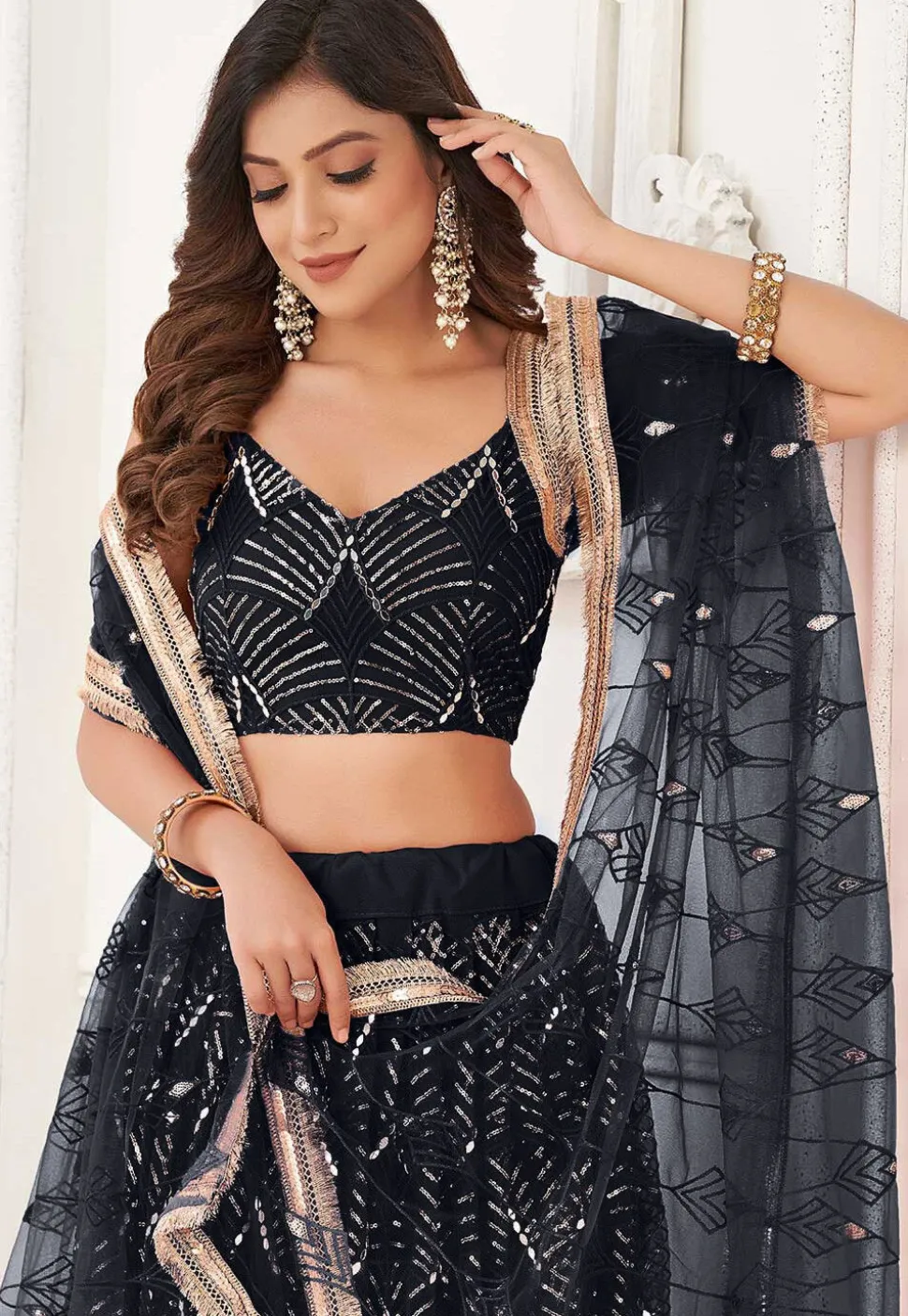 Embroidered Net Lehenga in Black