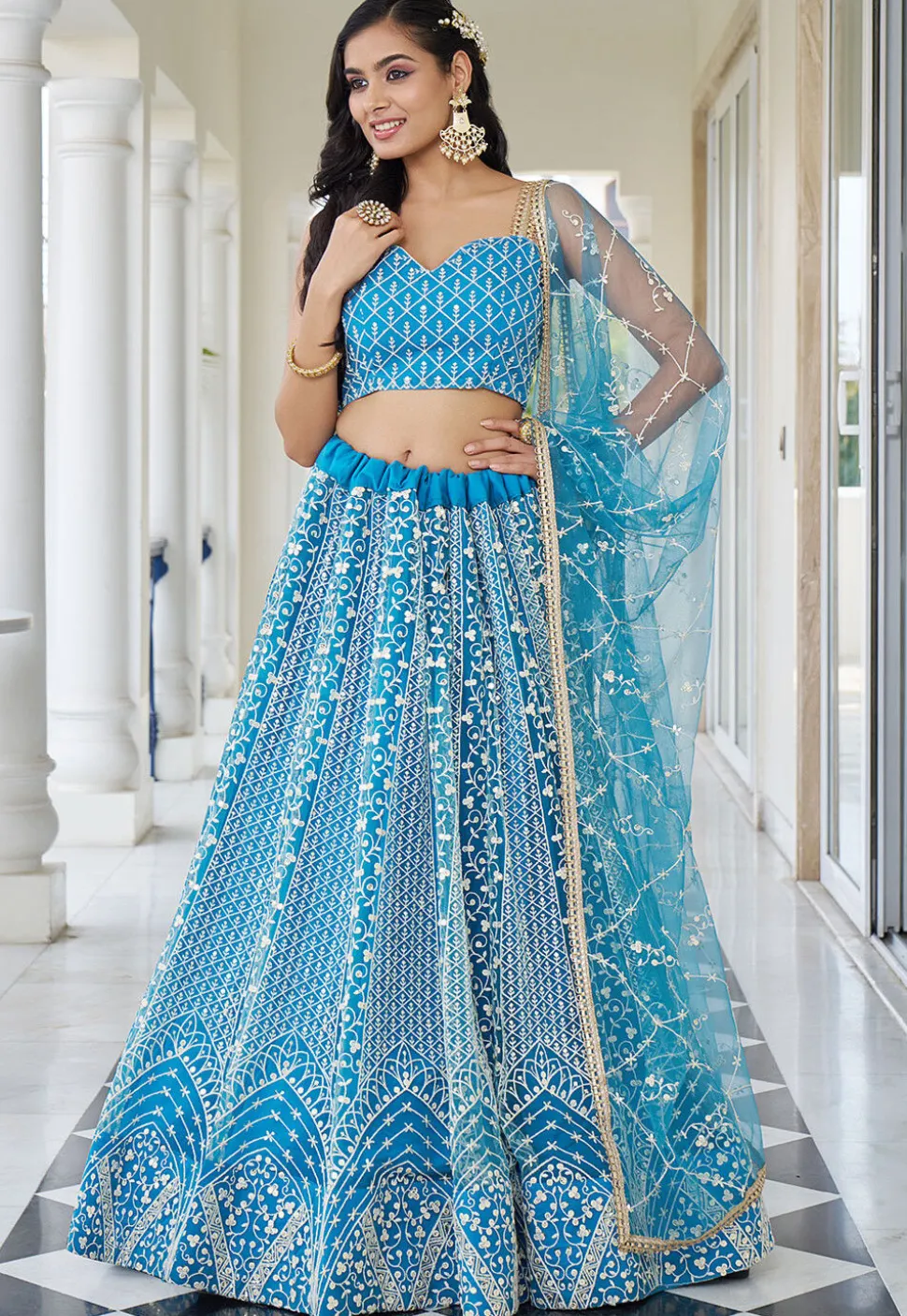 Embroidered Net Lehenga in Sky Blue