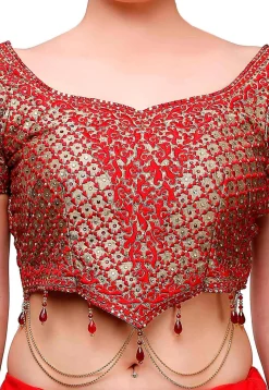 Embroidered Net Lehenga in Red