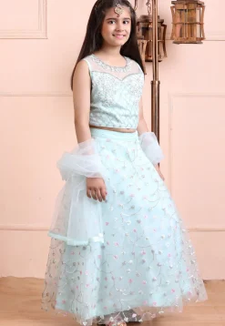 Embroidered Net Lehenga in Light Blue