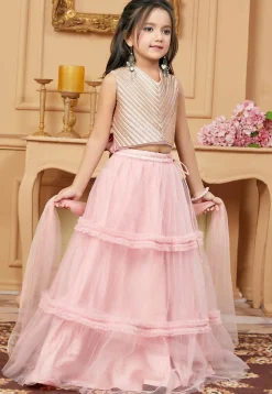 Embroidered Net Lehenga in Pink