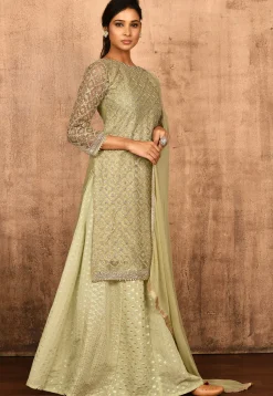 Embroidered Net Lehenga in Pastel Green