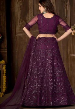 Embroidered Net Lehenga in Wine