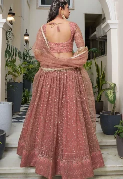 Embroidered Net Lehenga in Peach