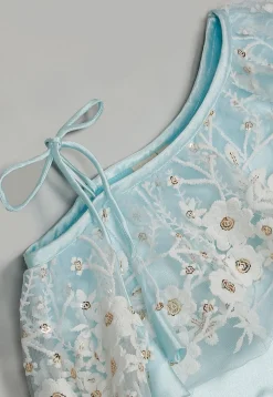 Embroidered Net Lehenga in Sky Blue