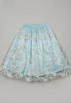 Embroidered Net Lehenga in Sky Blue