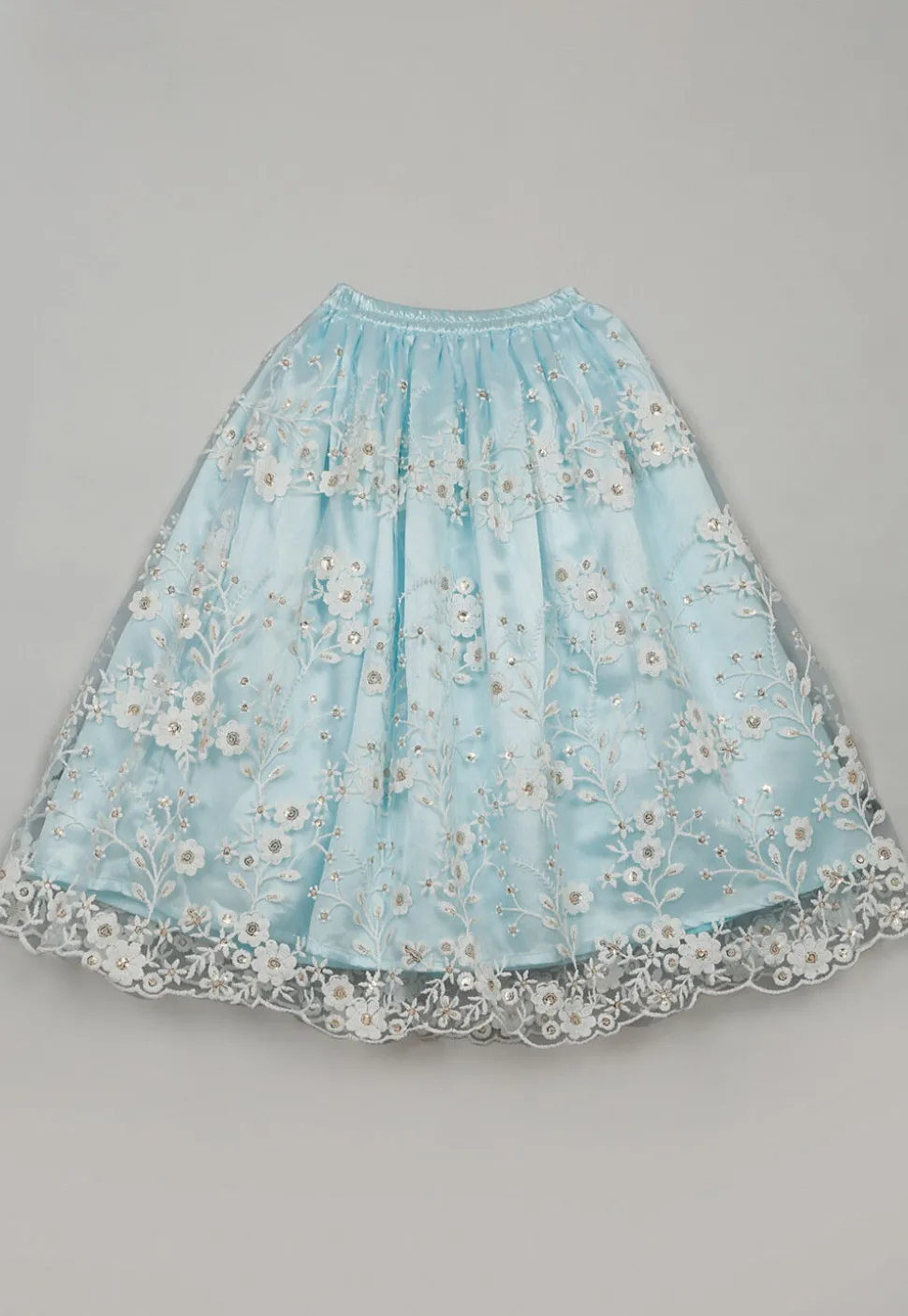 Embroidered Net Lehenga in Sky Blue