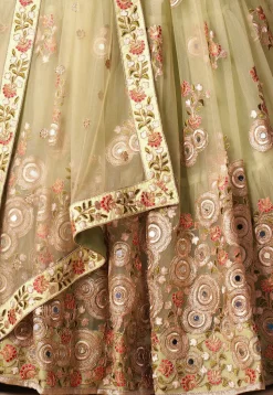 Embroidered Net Lehenga in Light Green