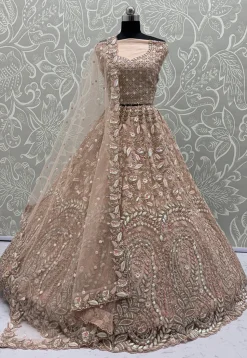 Embroidered Net Lehenga in Peach