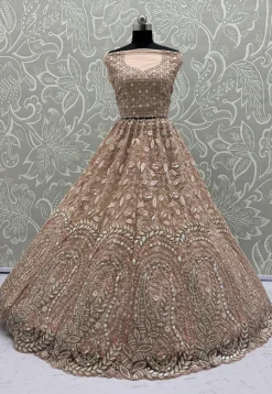 Embroidered Net Lehenga in Peach