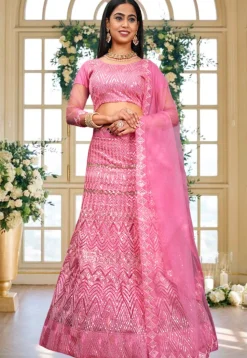 Embroidered Net Lehenga in Pink
