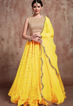 Embroidered Net Lehenga in Yellow