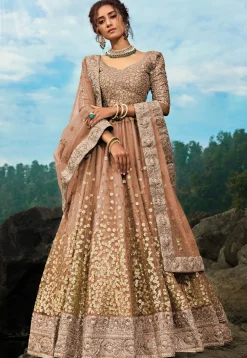 Embroidered Net Lehenga in Dark Beige