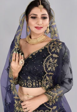 Embroidered Net Lehenga in Blue