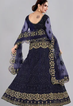 Embroidered Net Lehenga in Blue