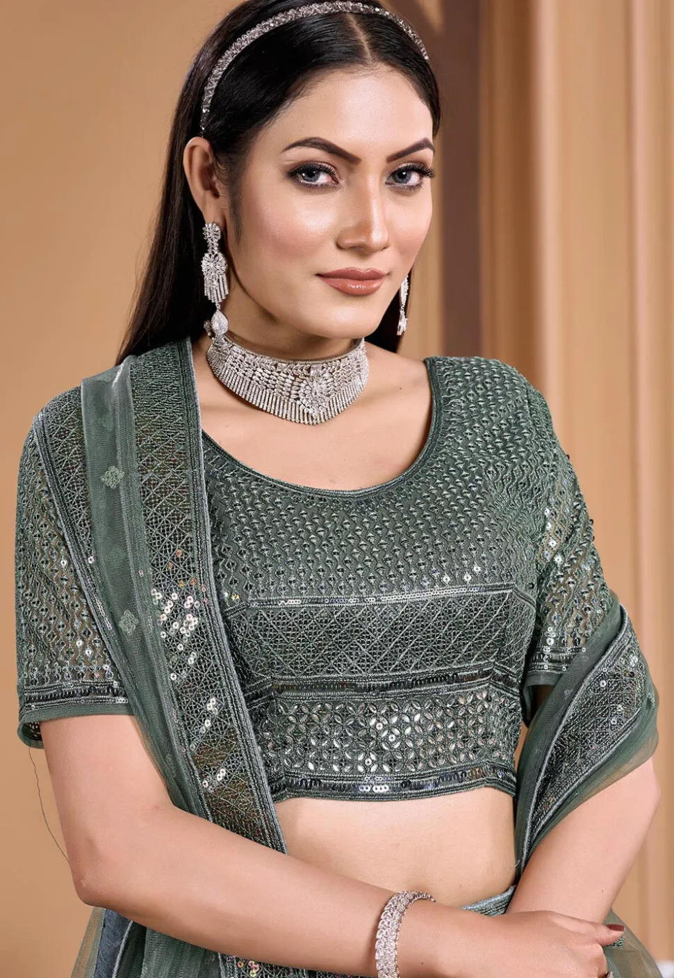 Embroidered Net Lehenga in Dusty Green