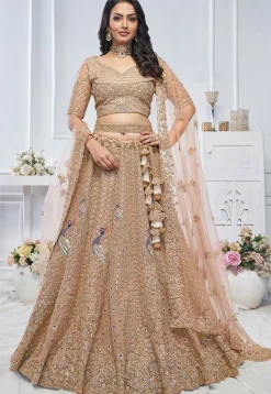 Embroidered Net Lehenga in Light Brown