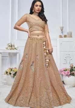 Embroidered Net Lehenga in Light Brown