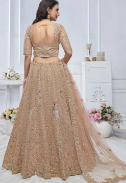 Embroidered Net Lehenga in Light Brown