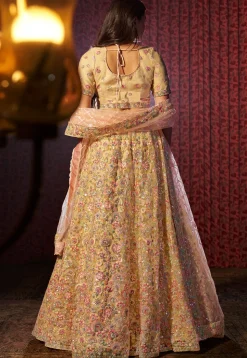 Embroidered Net Lehenga in Beige