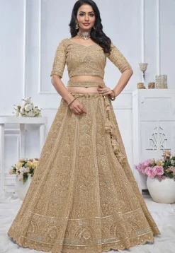 Embroidered Net Lehenga in Beige