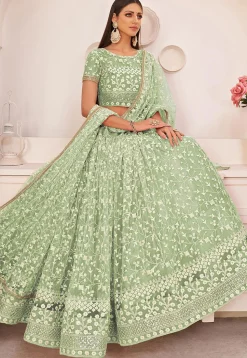 Embroidered Net Lehenga in Pastel Green