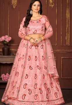 Embroidered Net Lehenga in Peach