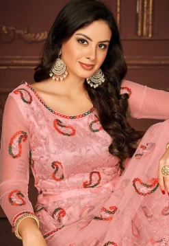 Embroidered Net Lehenga in Peach