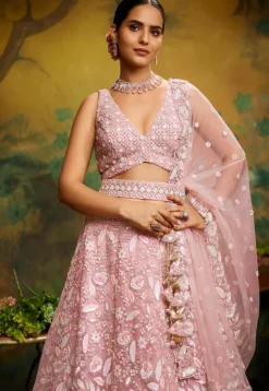 Embroidered Net Lehenga in Peach