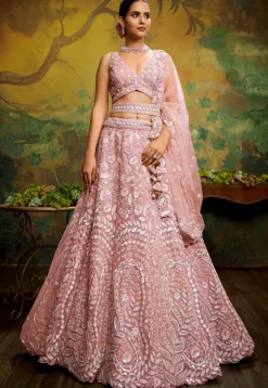 Embroidered Net Lehenga in Peach
