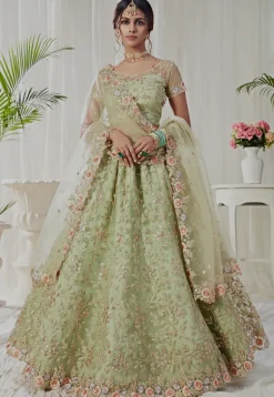Embroidered Net Lehenga in Light Green
