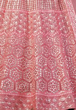 Embroidered Net Lehenga in Pink