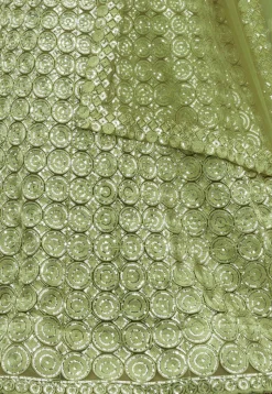Embroidered Net Lehenga in Olive Green