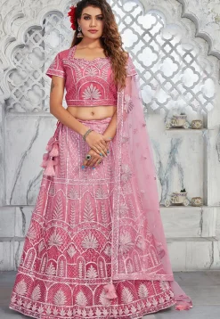Embroidered Net Lehenga in Pink