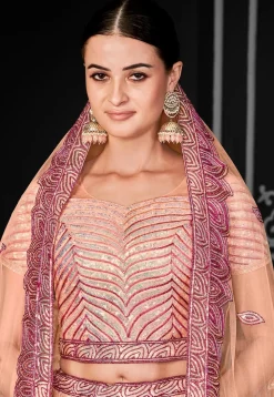 Embroidered Net Lehenga in Peach