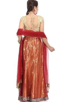 Embroidered Net Lehenga in Maroon