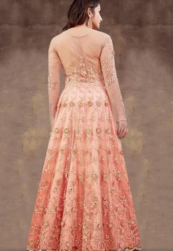 Embroidered Net Lehenga in Peach