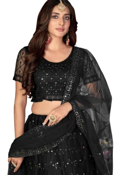 Embroidered Net Lehenga in Black