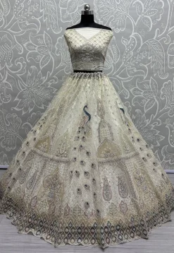 Embroidered Net Lehenga in Off White