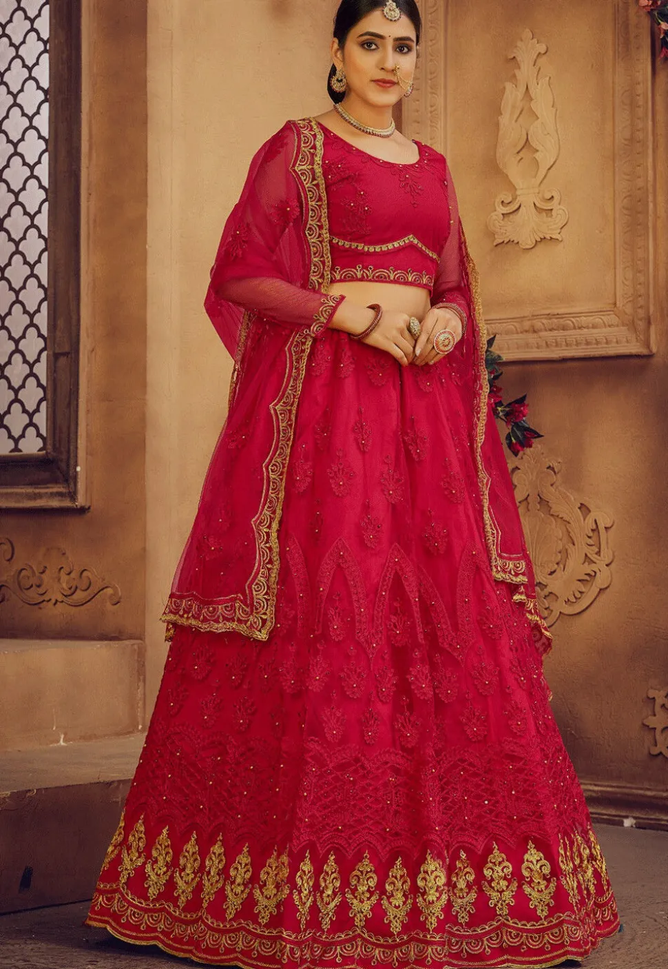 Embroidered Net Lehenga in Pink