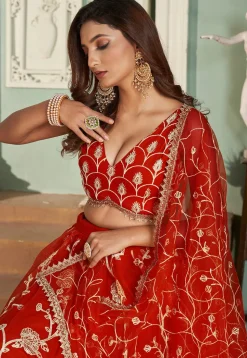 Embroidered Net Lehenga in Red