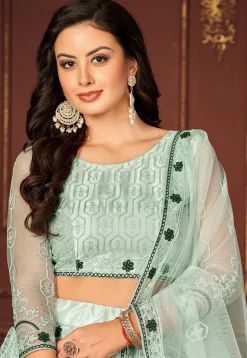 Embroidered Net Lehenga in Sea Green