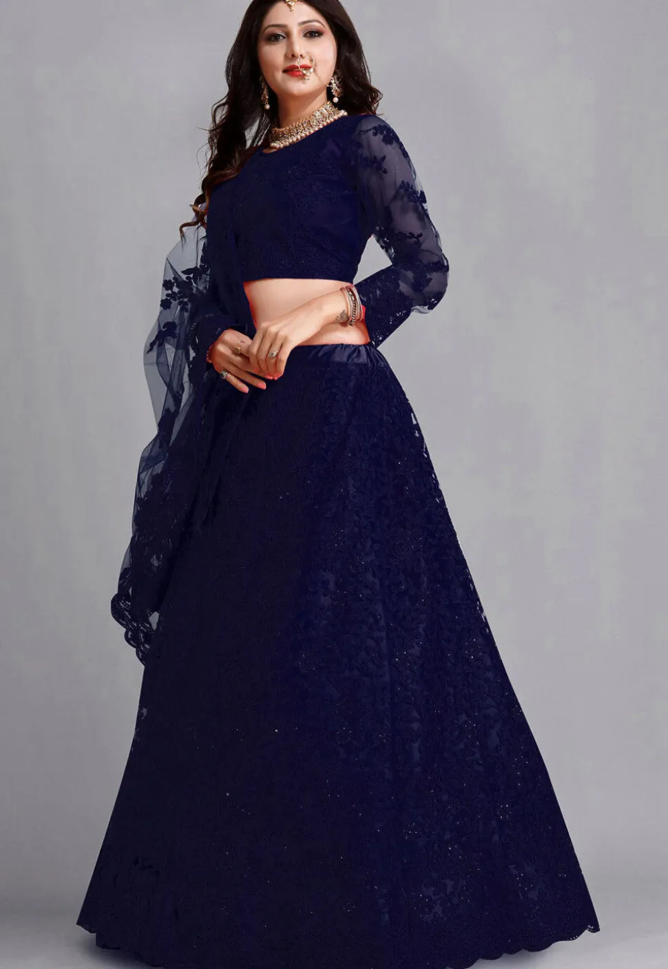 Embroidered Net Lehenga in Navy Blue