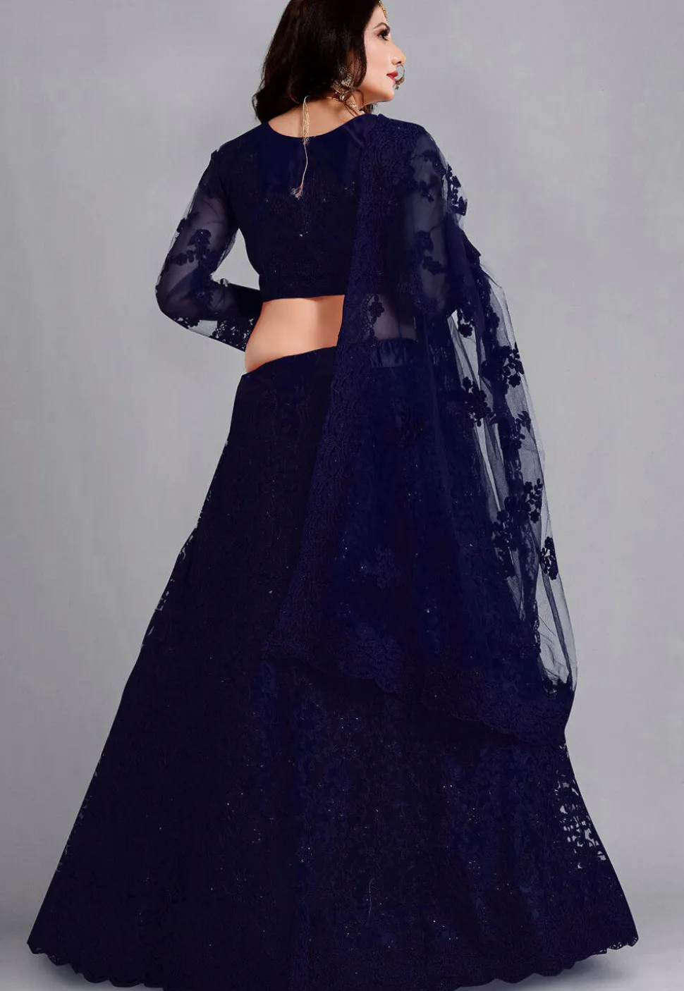 Embroidered Net Lehenga in Navy Blue