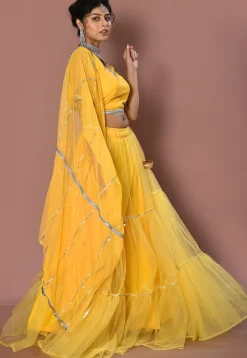 Embroidered Net Lehenga in Yellow