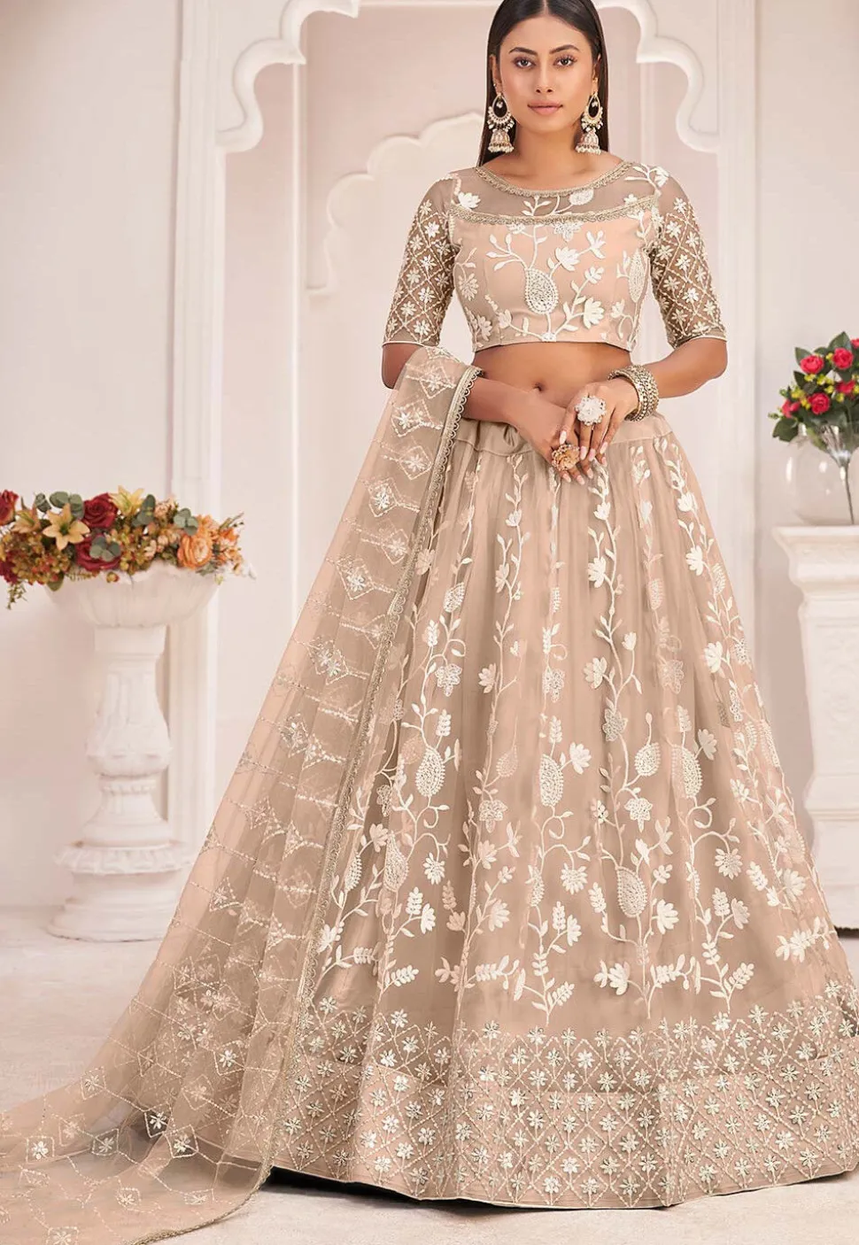 Embroidered Net Lehenga in Beige