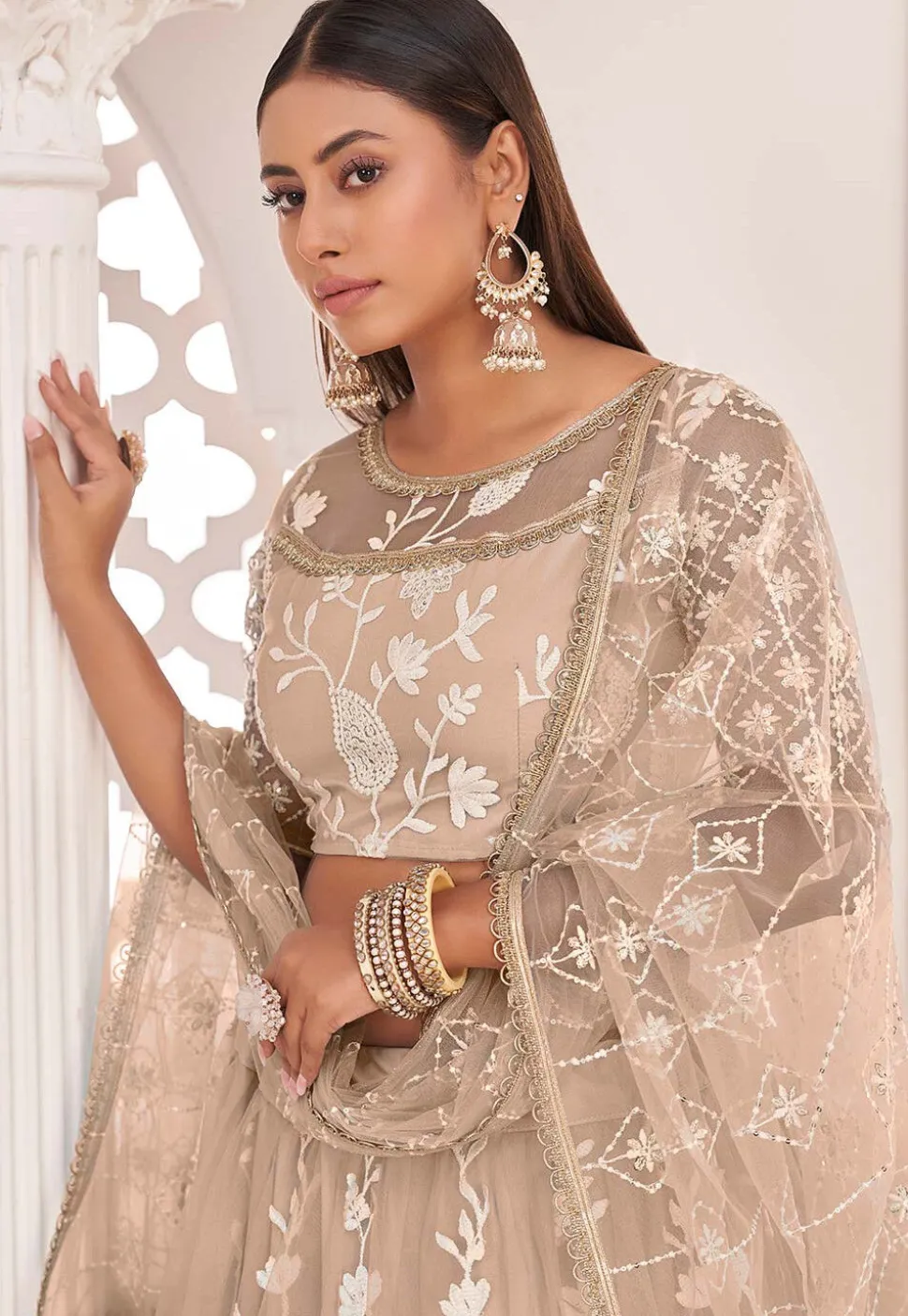 Embroidered Net Lehenga in Beige